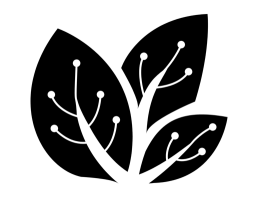 CodeTree