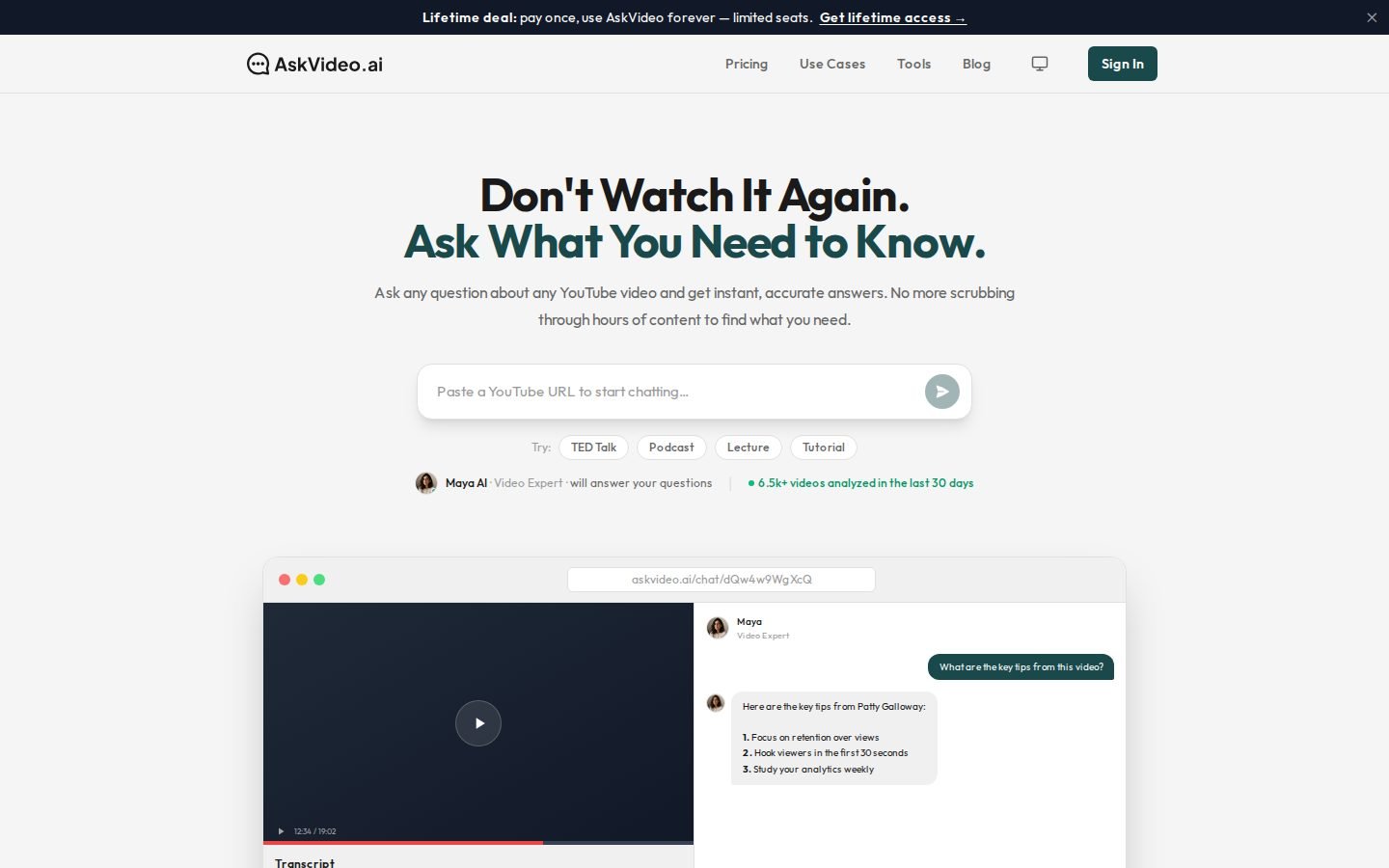 AskVideo.ai screenshot