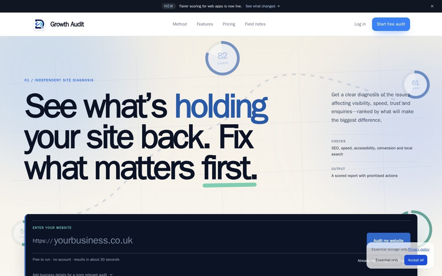 Growth Audit screenshot