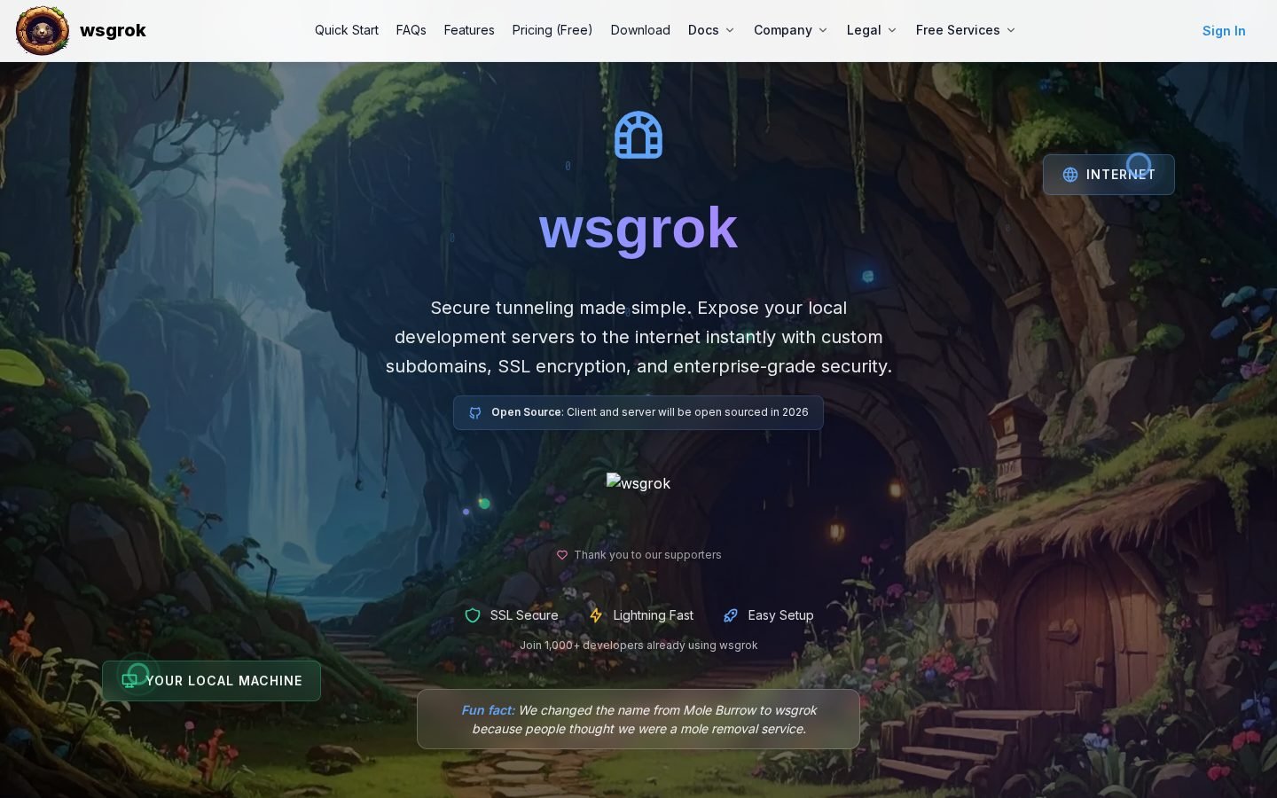 wsgrok screenshot